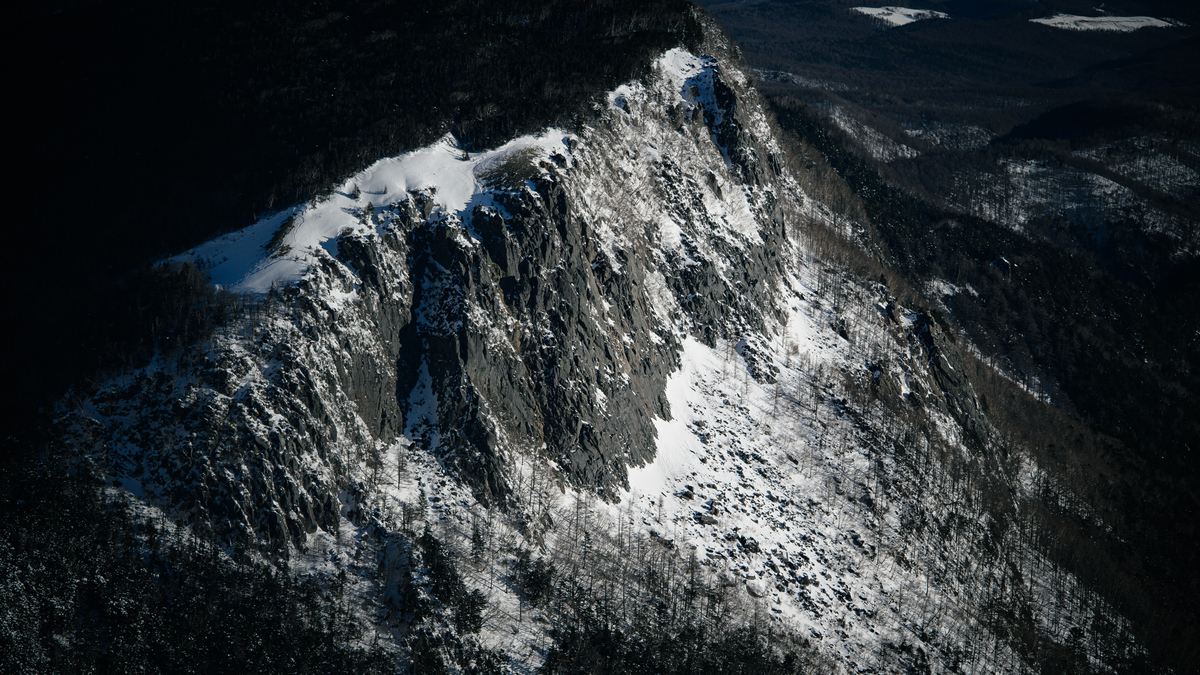 f:id:daitai_Iro:20220204221900j:plain