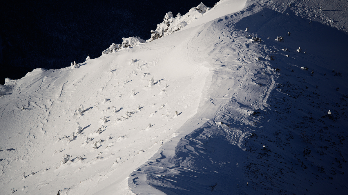 f:id:daitai_Iro:20220204222021j:plain