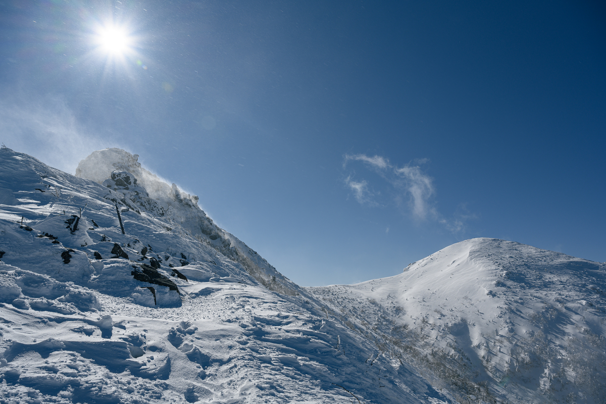 f:id:daitai_Iro:20220204222528j:plain