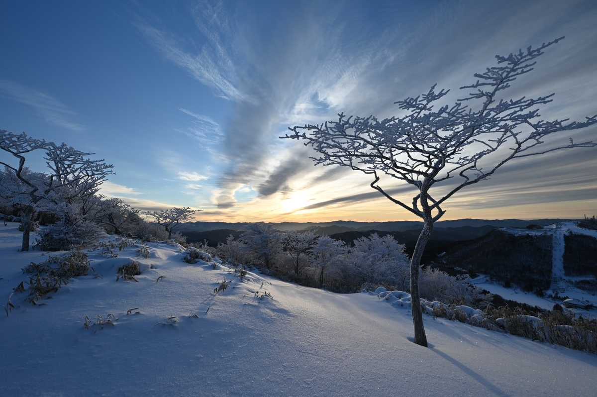 f:id:daitai_Iro:20220214214935j:plain