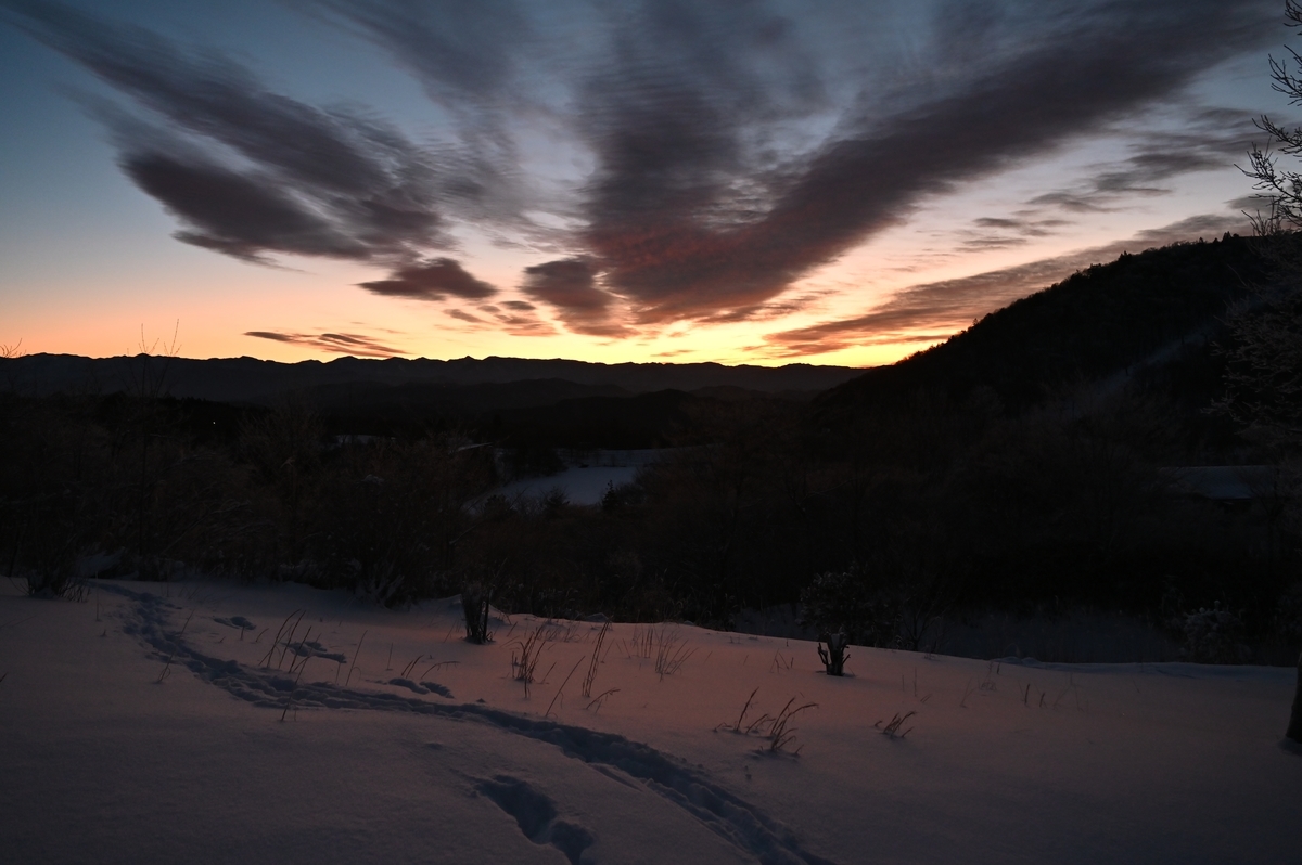 f:id:daitai_Iro:20220215213701j:plain