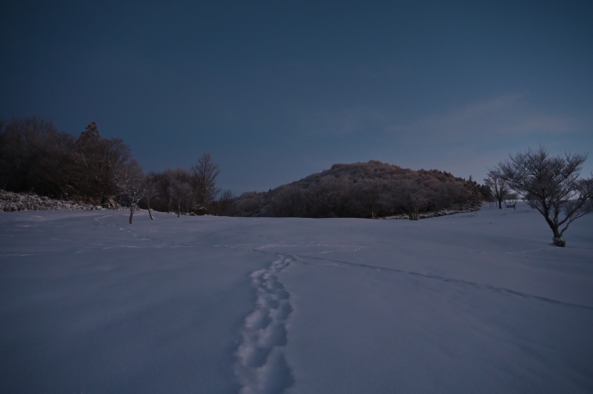 f:id:daitai_Iro:20220215213805j:plain