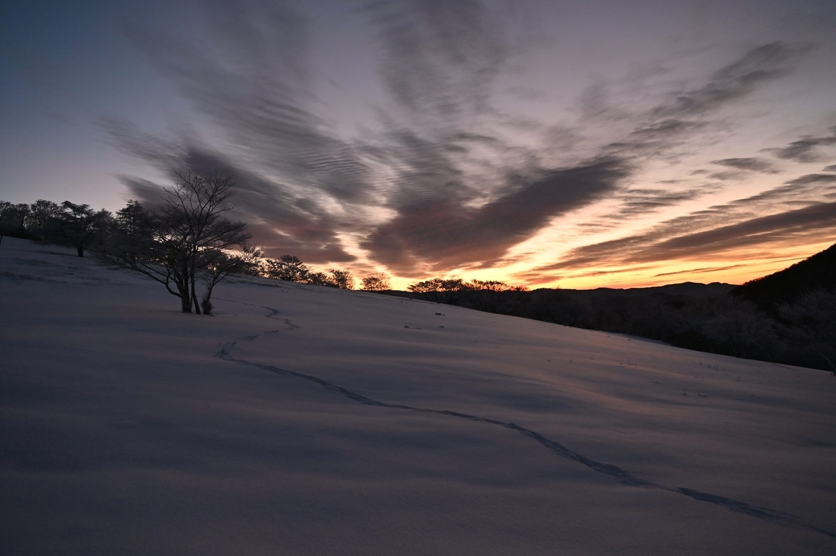 f:id:daitai_Iro:20220215213840j:plain