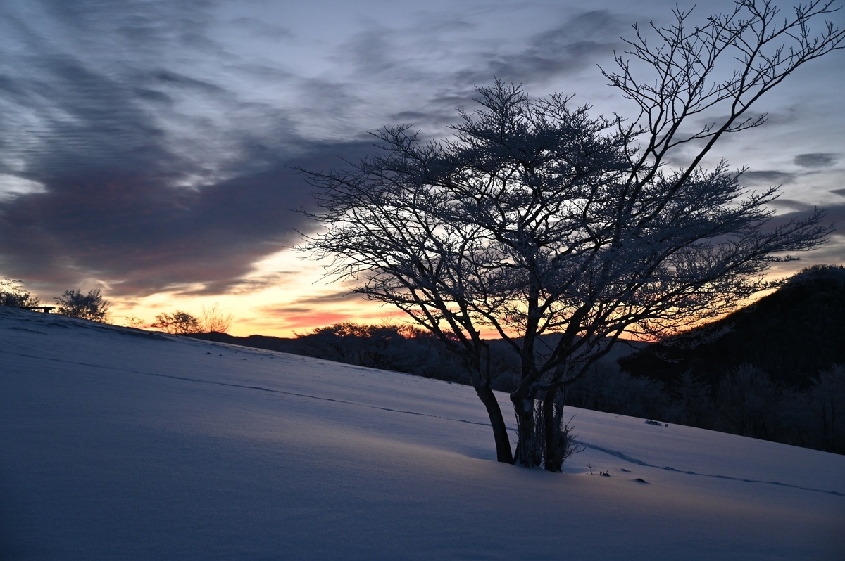 f:id:daitai_Iro:20220215214002j:plain