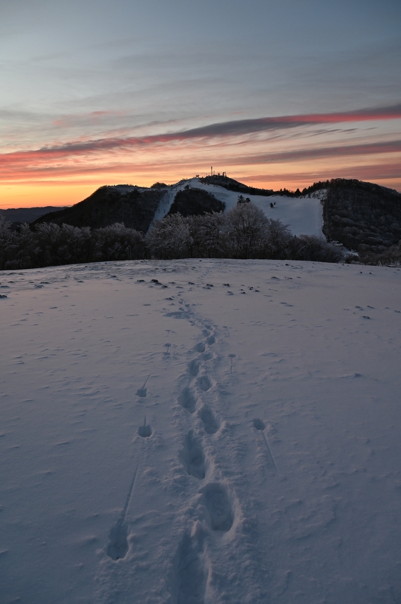 f:id:daitai_Iro:20220215214112j:plain