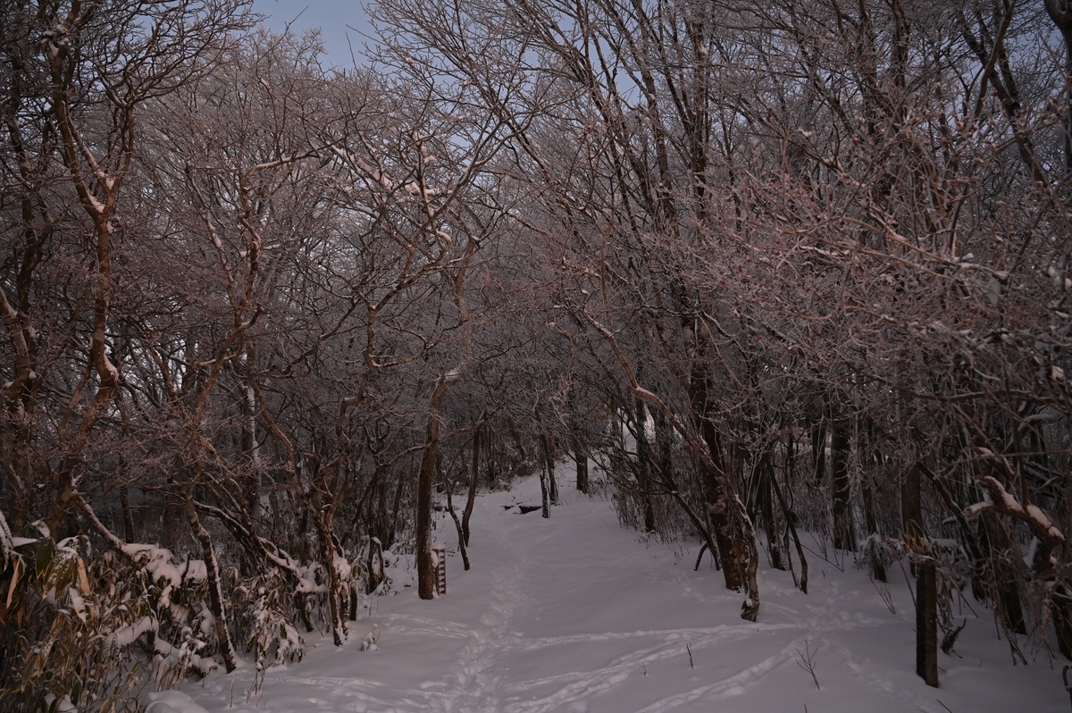 f:id:daitai_Iro:20220215214407j:plain