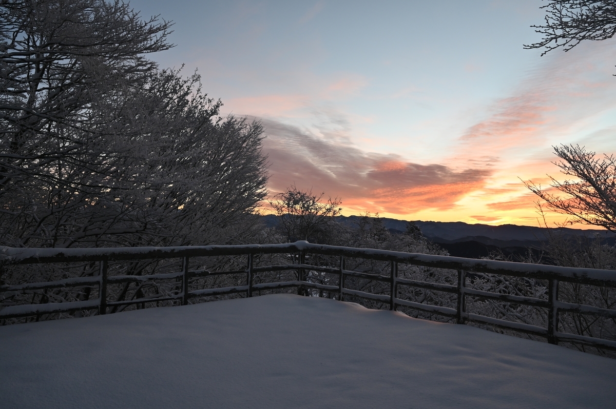 f:id:daitai_Iro:20220215214439j:plain