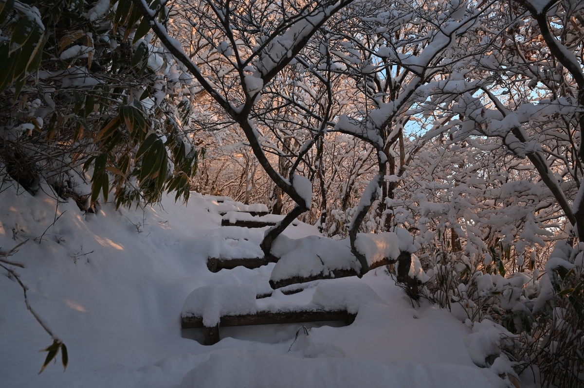 f:id:daitai_Iro:20220215215309j:plain