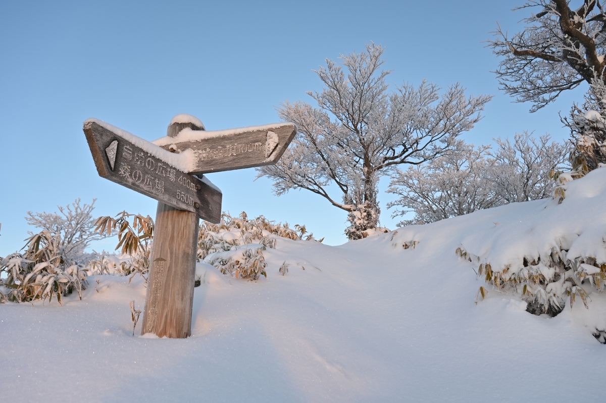 f:id:daitai_Iro:20220215215608j:plain