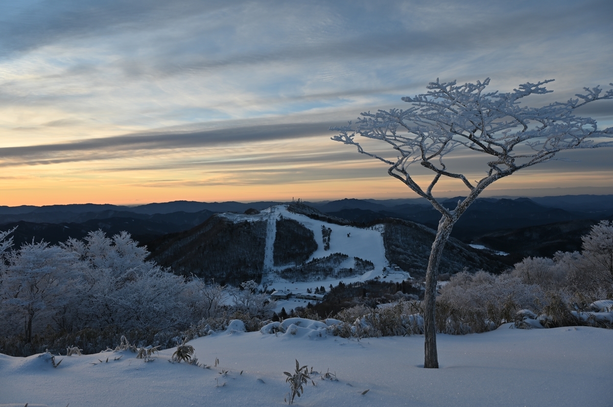 f:id:daitai_Iro:20220215215647j:plain