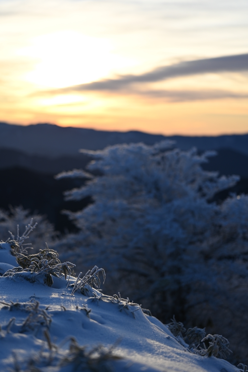 f:id:daitai_Iro:20220215215950j:plain