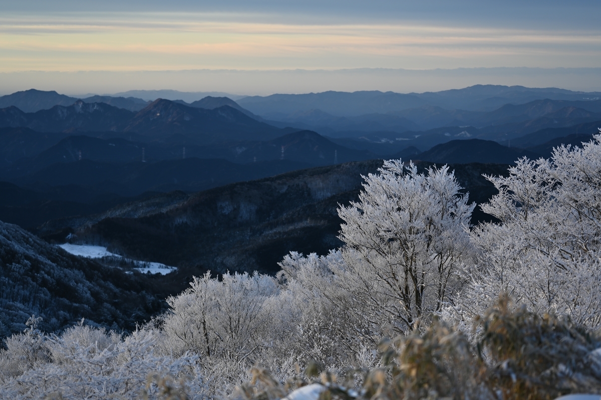 f:id:daitai_Iro:20220215220149j:plain