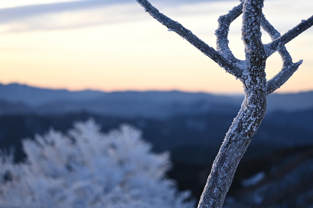 f:id:daitai_Iro:20220215220259j:plain