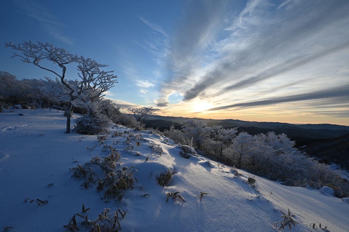 f:id:daitai_Iro:20220215220503j:plain