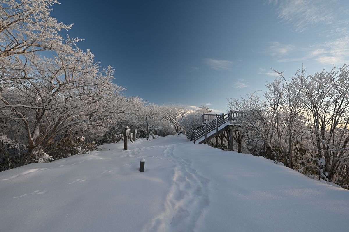 f:id:daitai_Iro:20220215221009j:plain