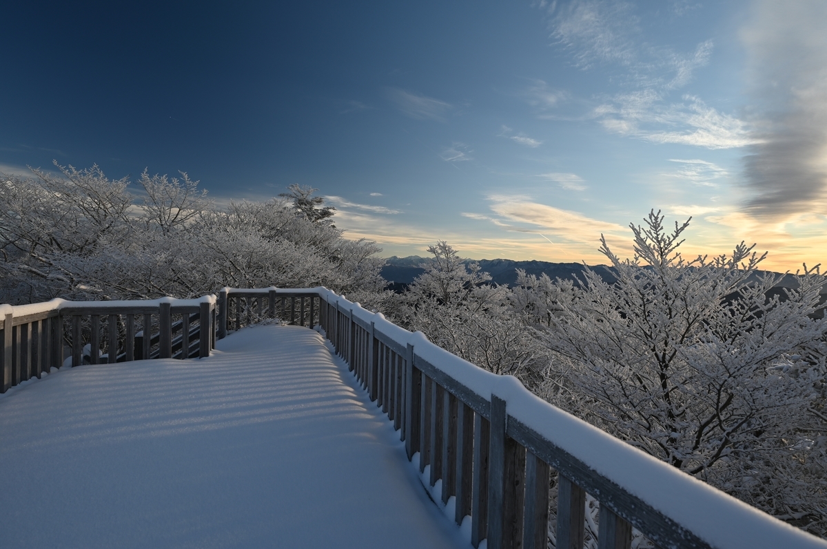 f:id:daitai_Iro:20220215221132j:plain