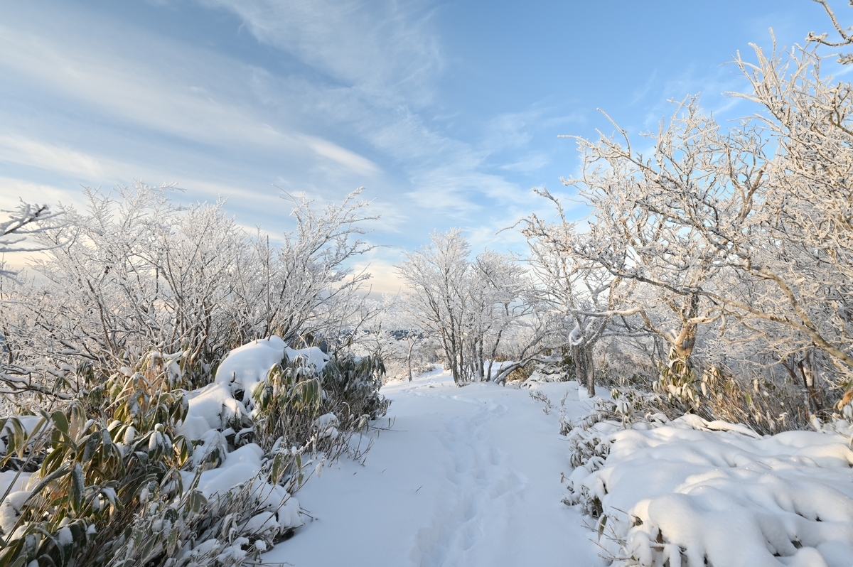 f:id:daitai_Iro:20220215221435j:plain