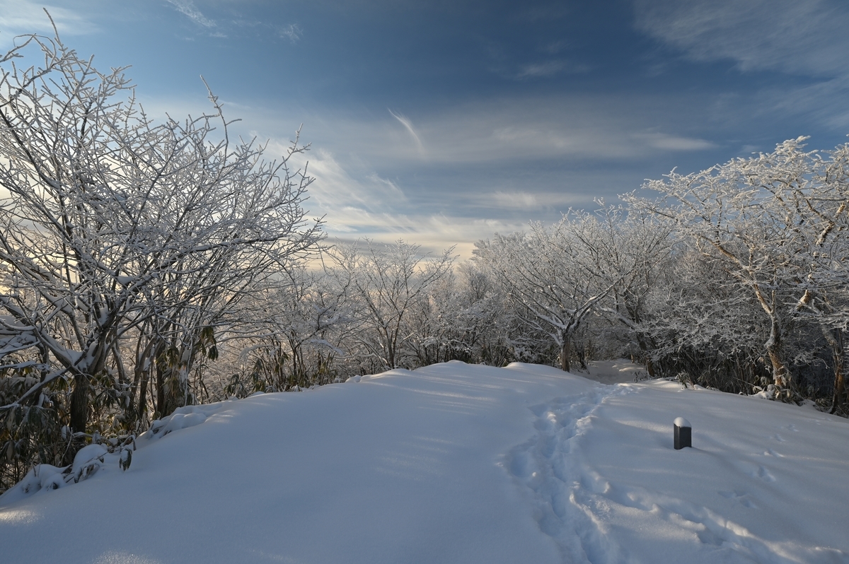 f:id:daitai_Iro:20220215221537j:plain