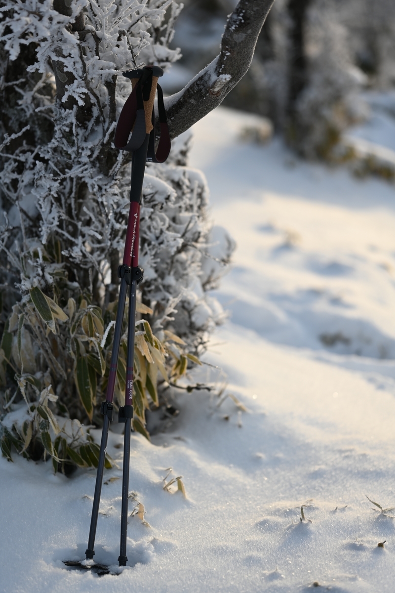 f:id:daitai_Iro:20220215221607j:plain