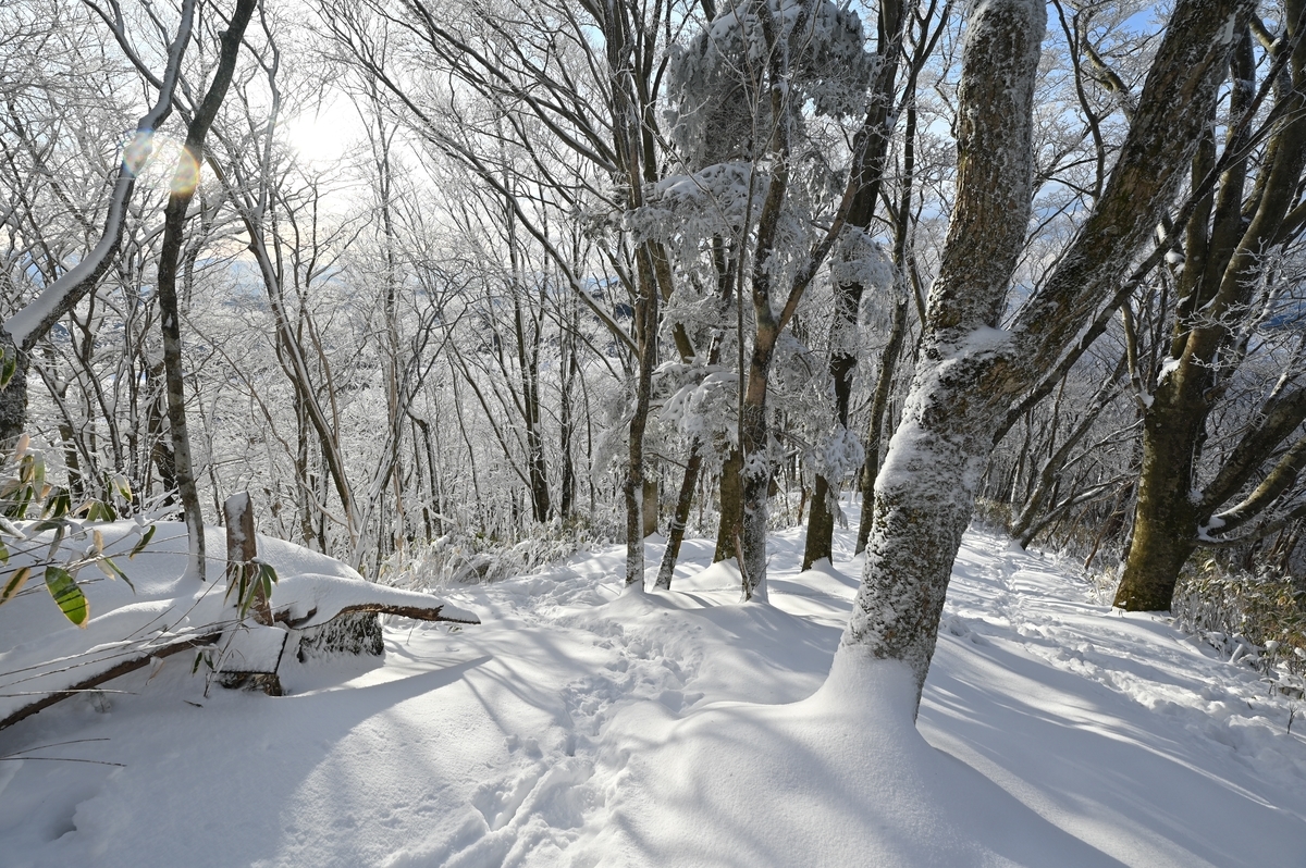 f:id:daitai_Iro:20220215221817j:plain