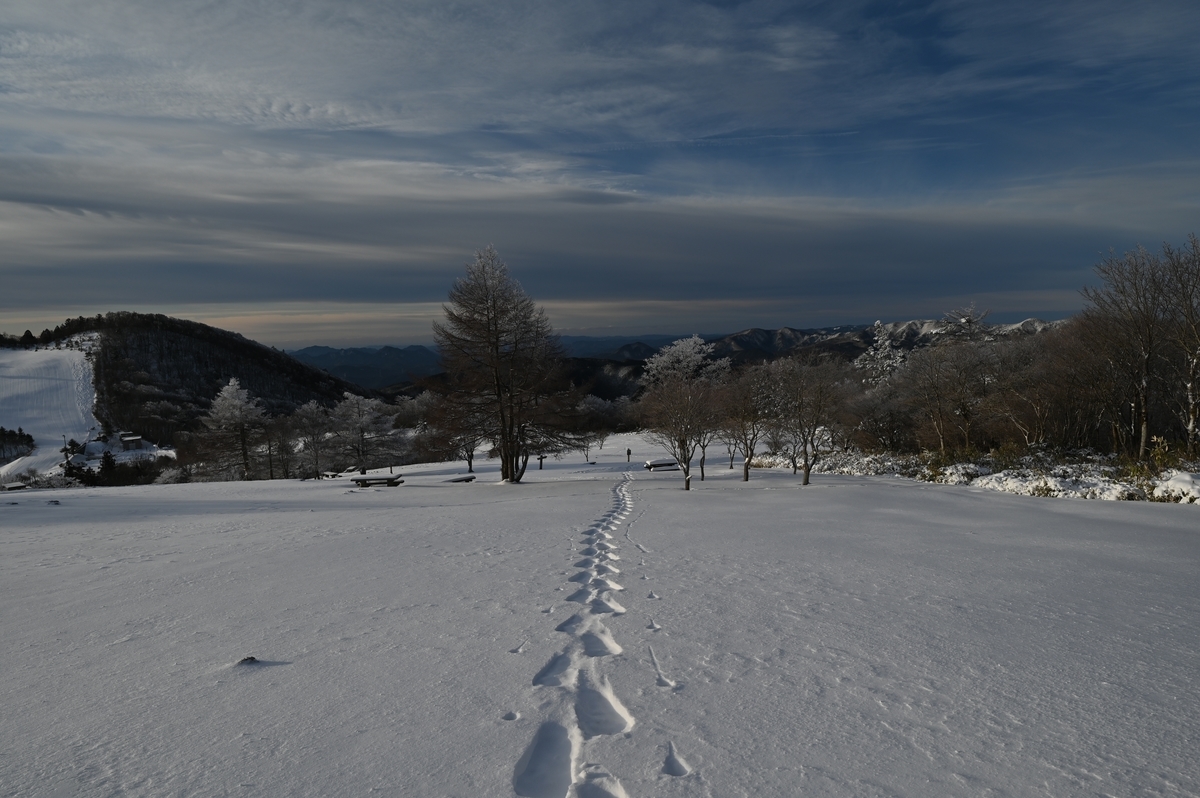 f:id:daitai_Iro:20220215222012j:plain