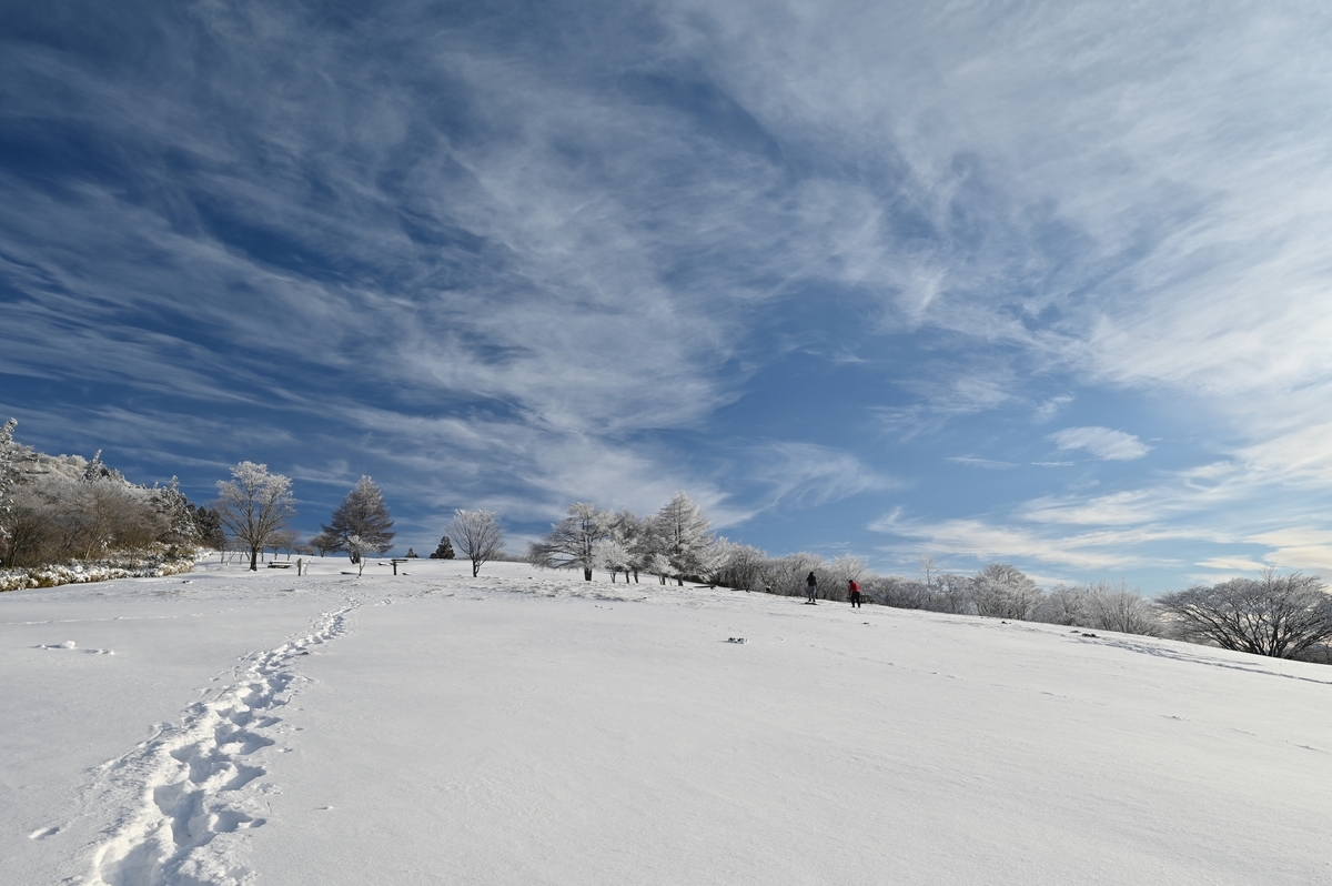 f:id:daitai_Iro:20220215222039j:plain