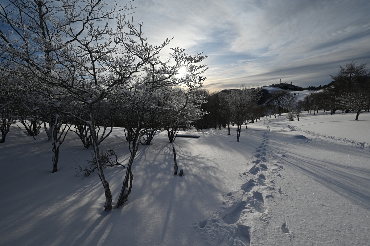 f:id:daitai_Iro:20220215222215j:plain