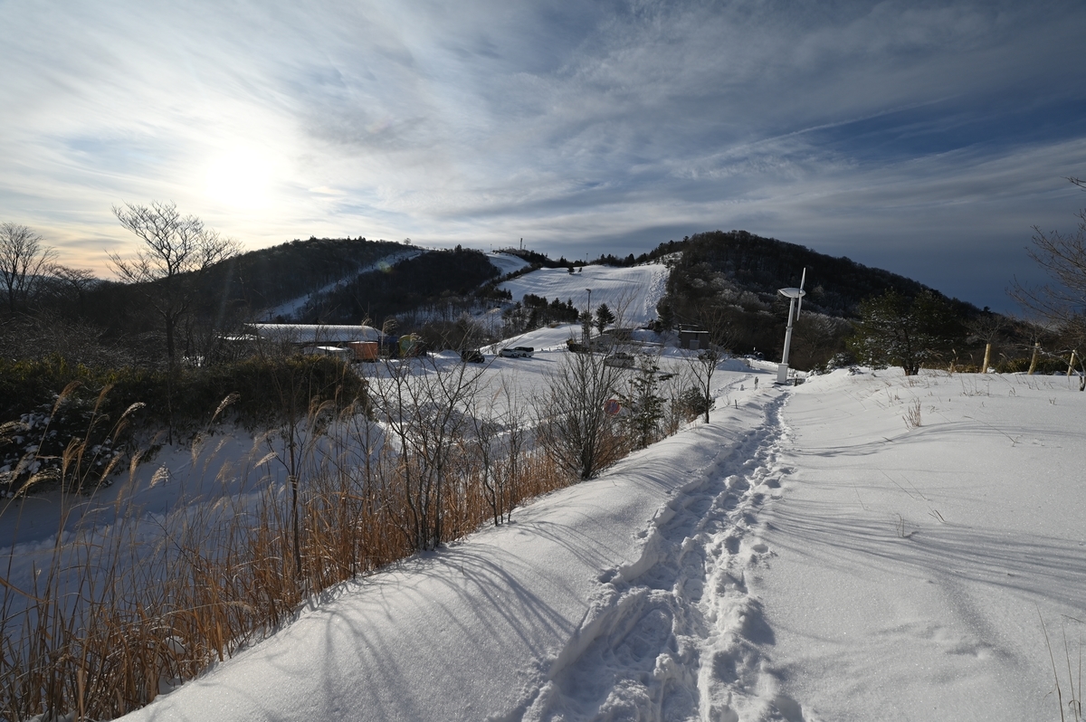 f:id:daitai_Iro:20220215222242j:plain