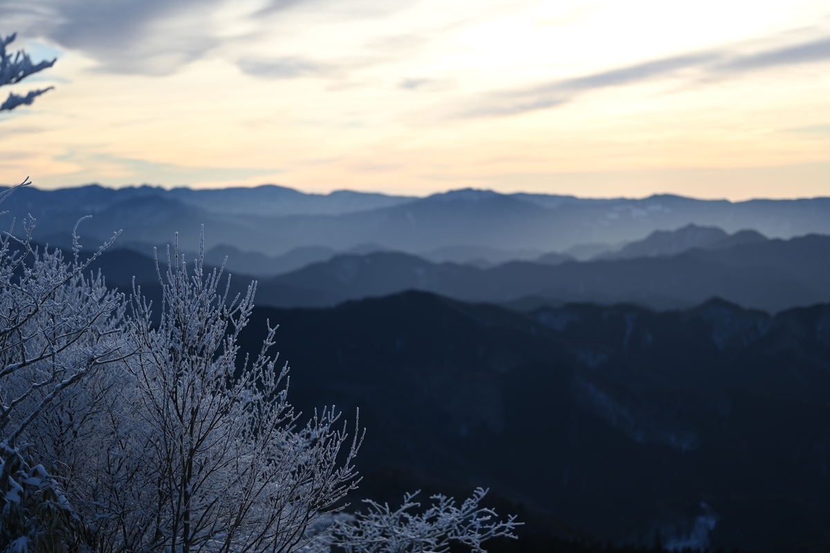 f:id:daitai_Iro:20220215222825j:plain