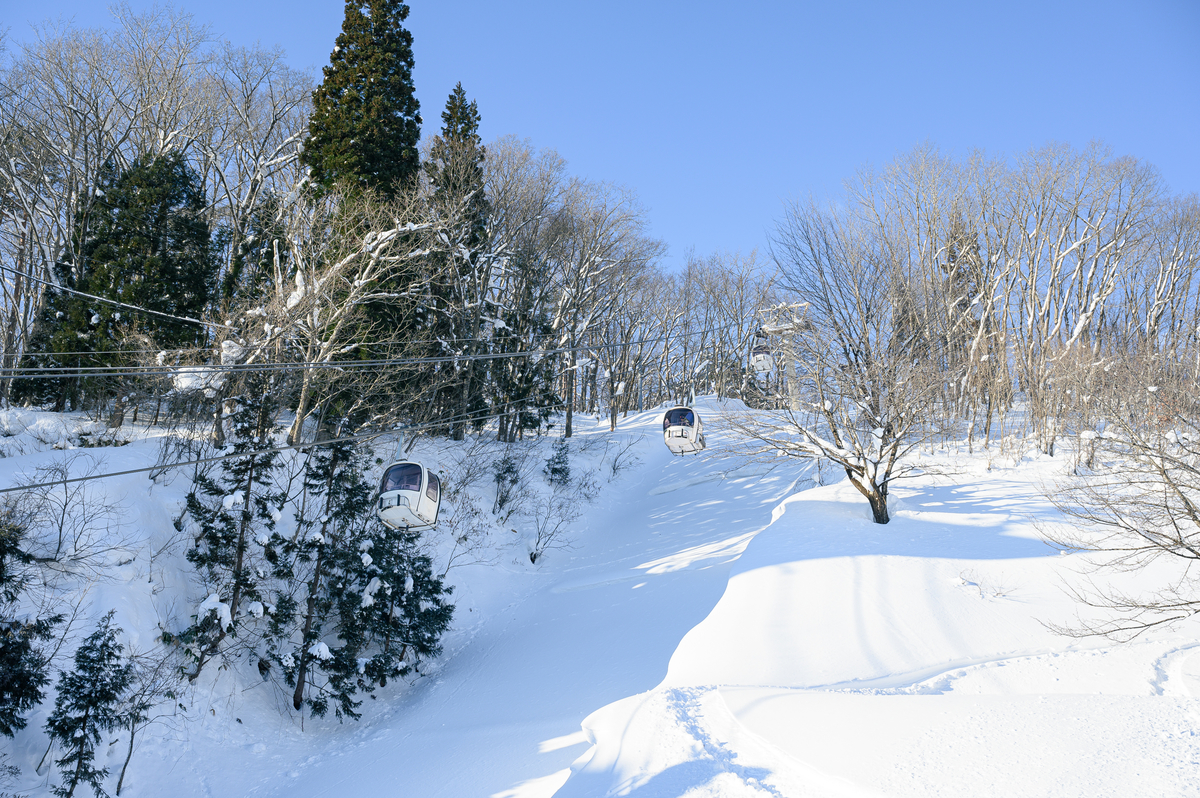 f:id:daitai_Iro:20220227194442j:plain