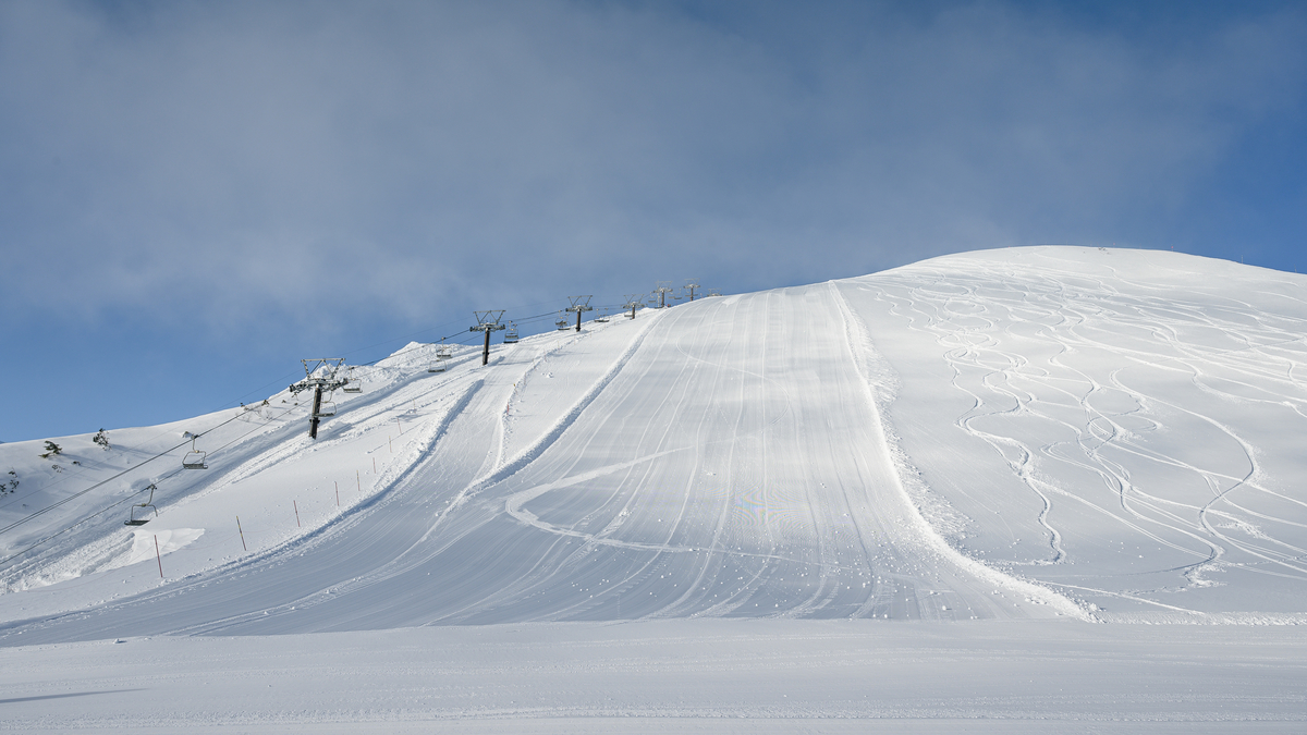 f:id:daitai_Iro:20220227195436j:plain