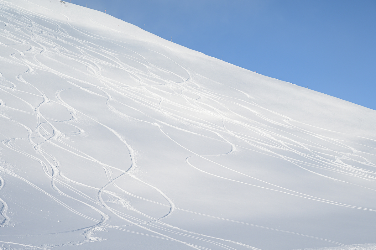 f:id:daitai_Iro:20220227195716j:plain