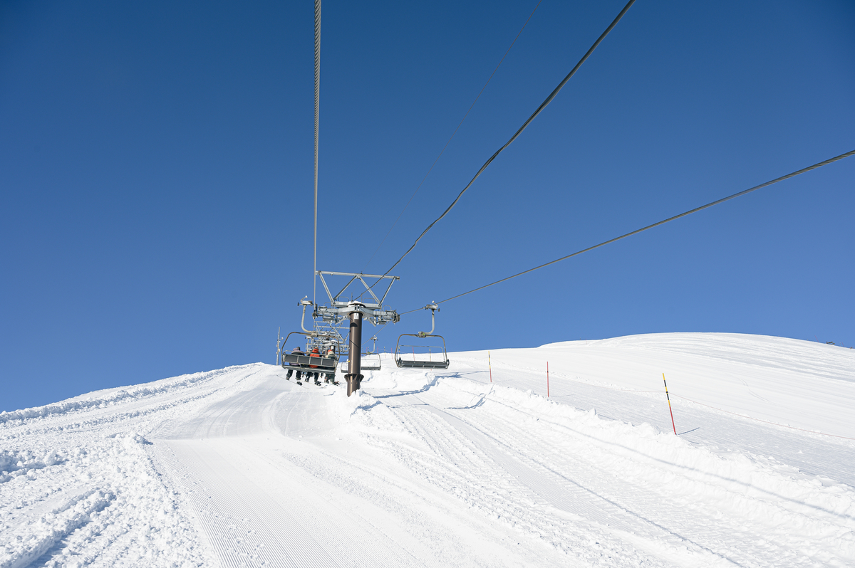 f:id:daitai_Iro:20220227200327j:plain