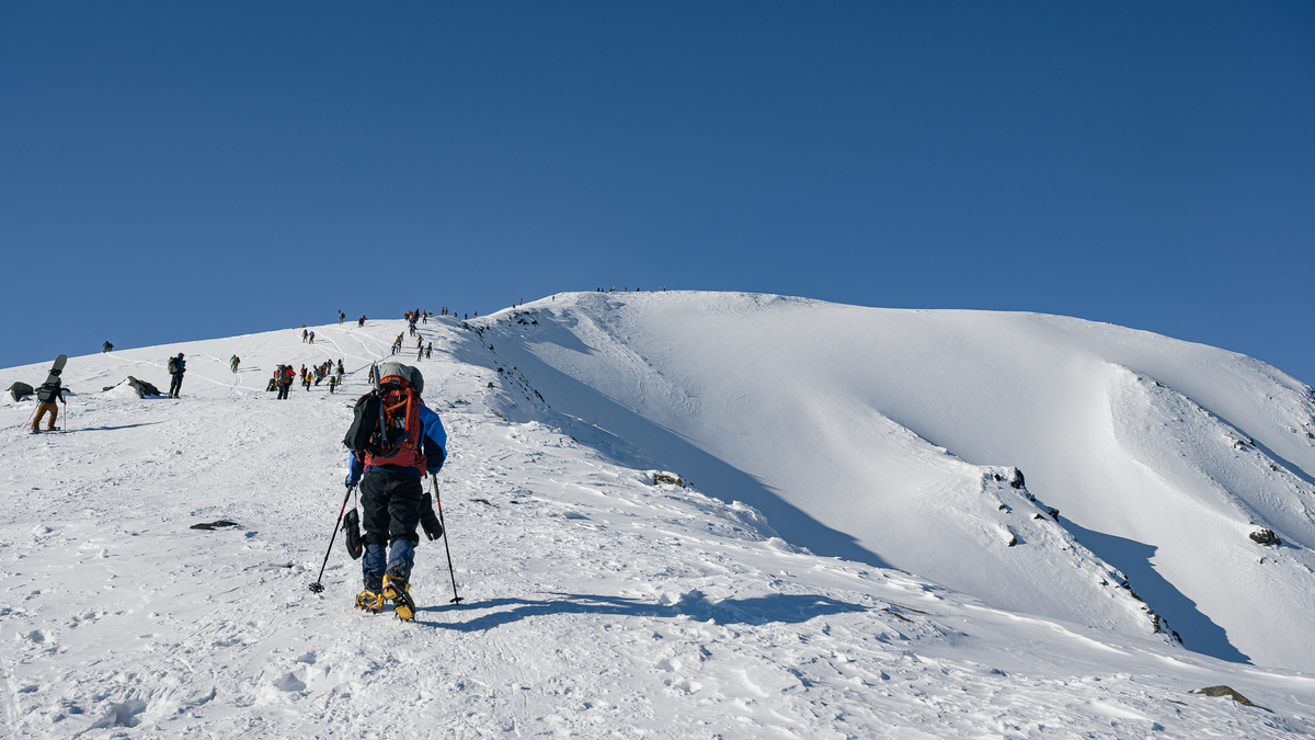 f:id:daitai_Iro:20220227200945j:plain