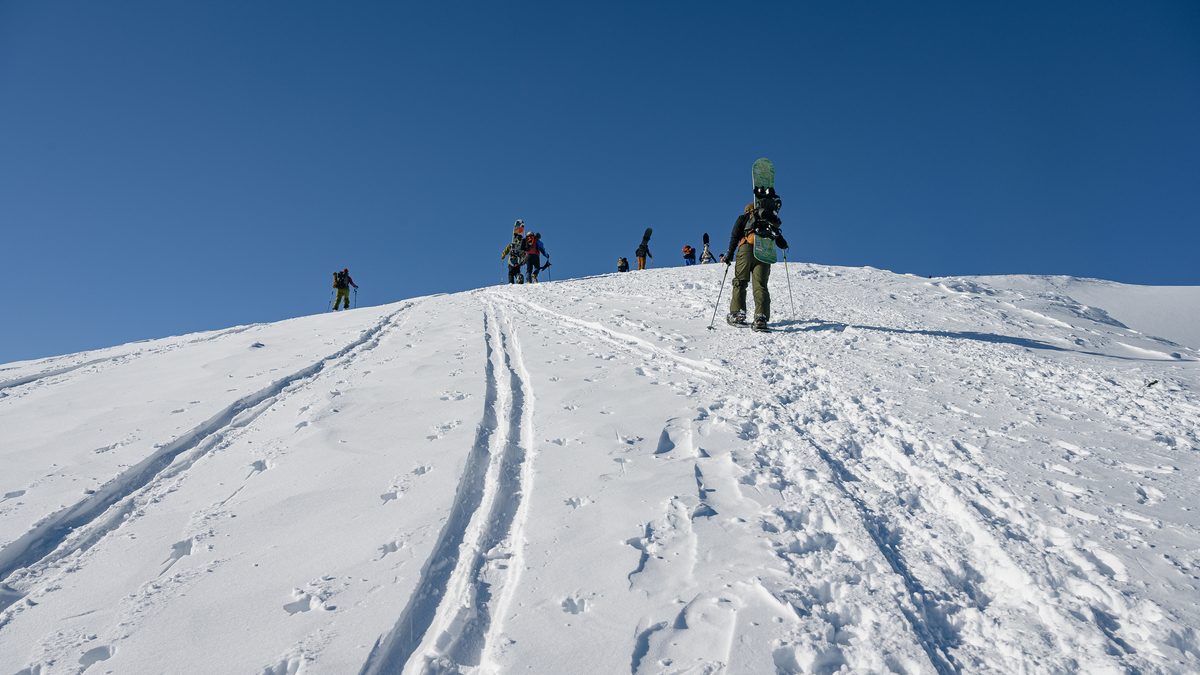 f:id:daitai_Iro:20220227201012j:plain