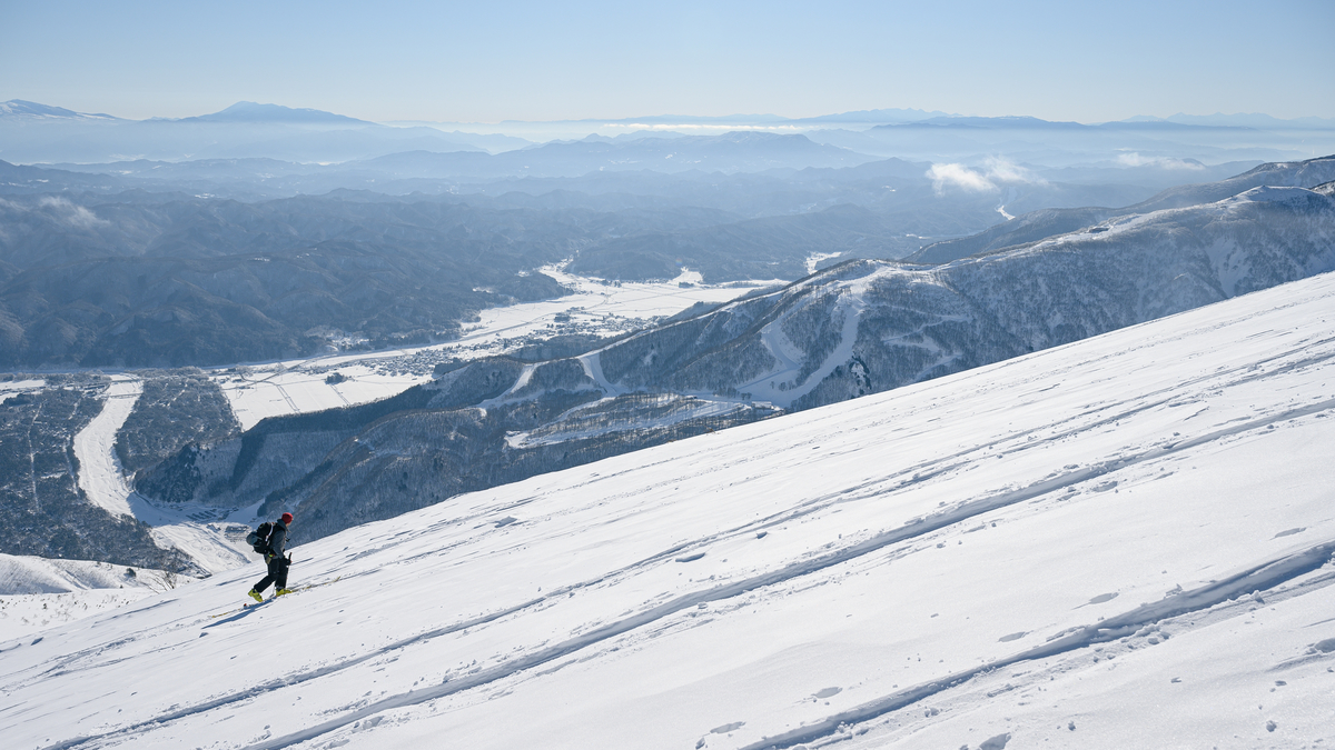 f:id:daitai_Iro:20220227201111j:plain