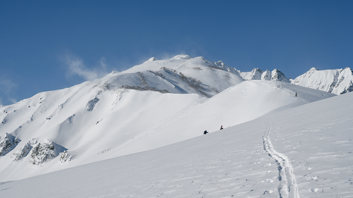 f:id:daitai_Iro:20220227201546j:plain