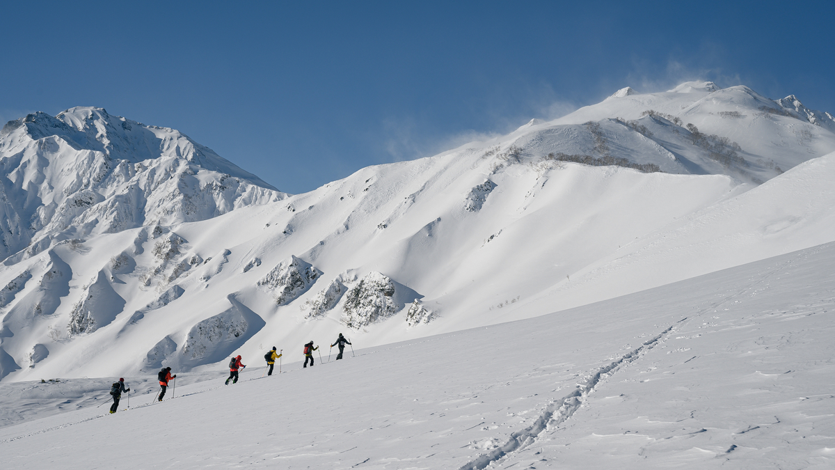 f:id:daitai_Iro:20220227201816j:plain