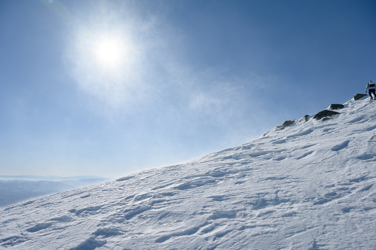 f:id:daitai_Iro:20220227213311j:plain