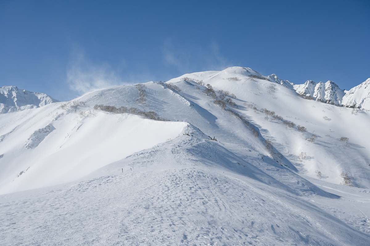 f:id:daitai_Iro:20220227213950j:plain