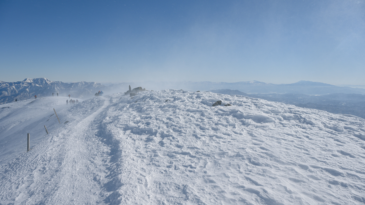 f:id:daitai_Iro:20220227214513j:plain