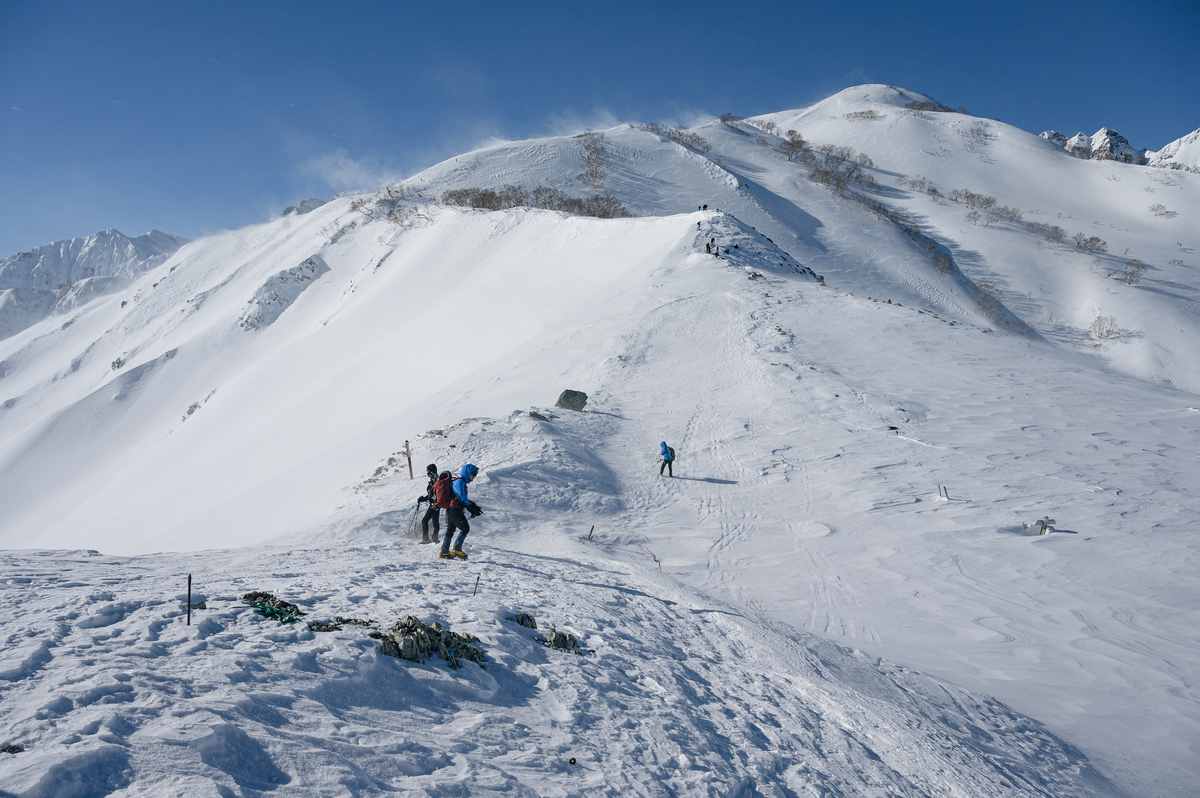 f:id:daitai_Iro:20220227214657j:plain