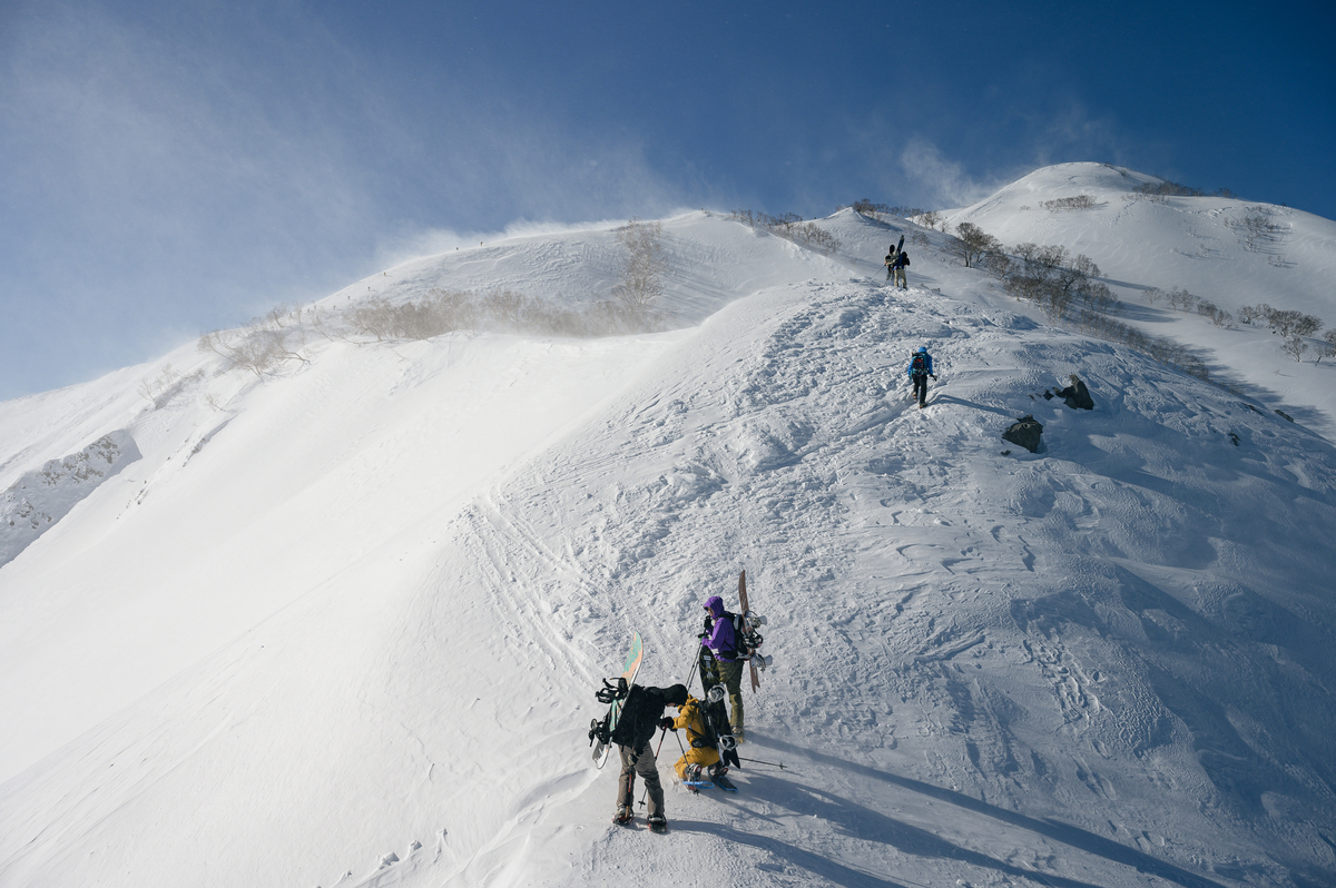 f:id:daitai_Iro:20220227214723j:plain