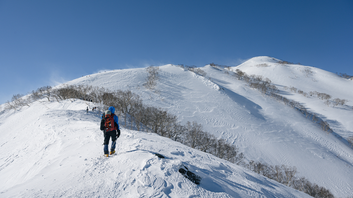 f:id:daitai_Iro:20220227215004j:plain