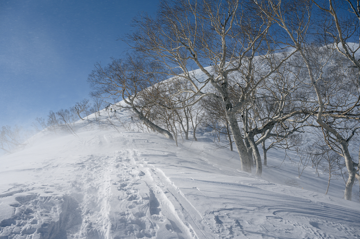 f:id:daitai_Iro:20220227215114j:plain