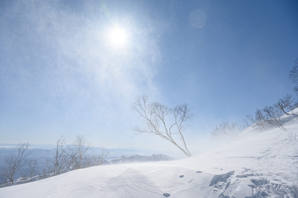 f:id:daitai_Iro:20220227215345j:plain