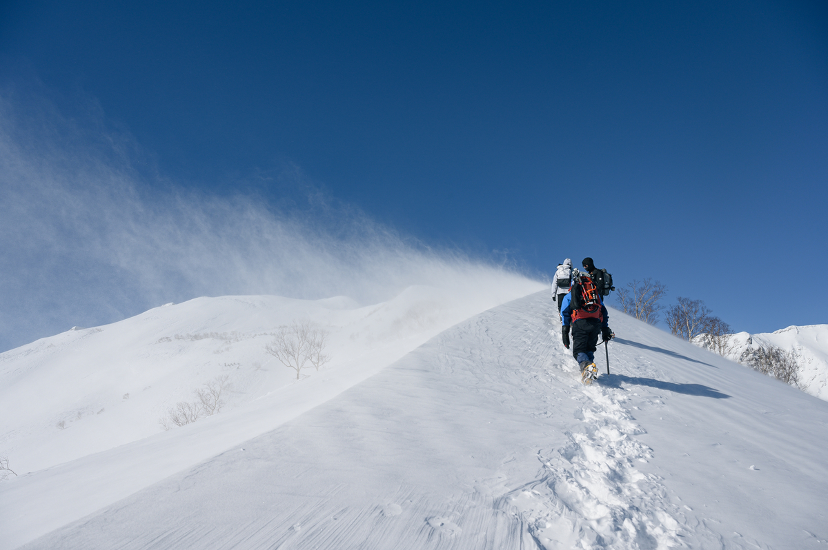 f:id:daitai_Iro:20220227215508j:plain