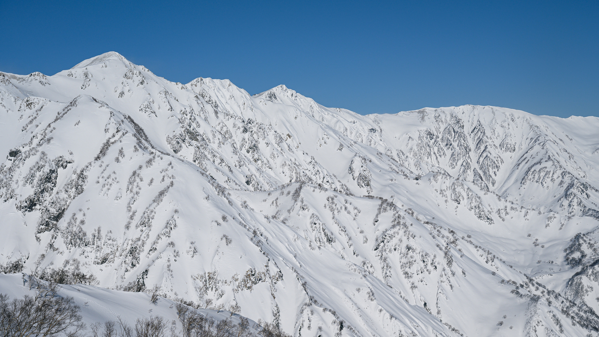 f:id:daitai_Iro:20220227215958j:plain