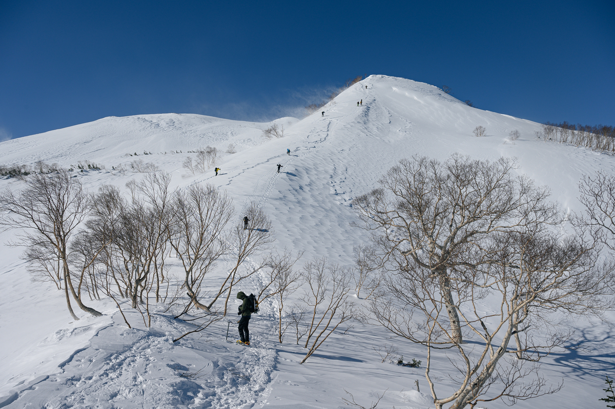 f:id:daitai_Iro:20220227220018j:plain