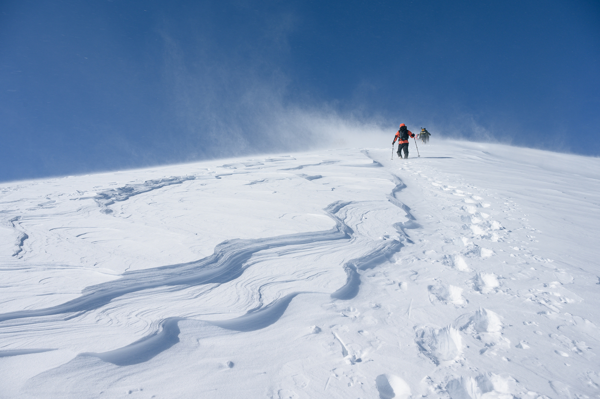 f:id:daitai_Iro:20220227220545j:plain